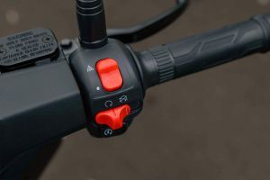 Self Starter Button of Vieste 300