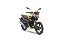 TVS Raider Single Seat