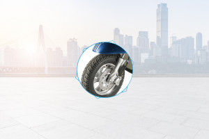 Front Brake View of Electrica