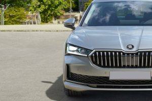 Headlamp Image of Superb 2024
