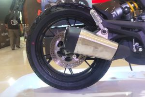 Exhaust View of Leoncino 800