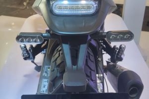 Rear Indicator View of Leoncino 800
