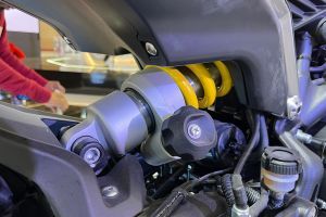 Rear Suspension View of Leoncino 800