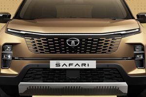 Bumper Image of Safari 2023