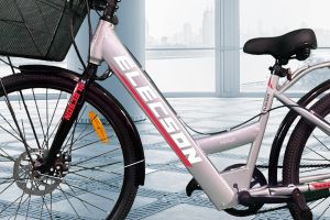 Brand Logo & Name of Ladybird