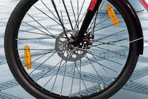 Front Brake View of Ladybird
