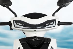 Front Indicator View of Zoop