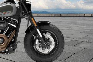 Front Mudguard & Suspension of Fat Bob 114