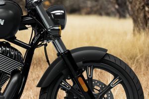 Front Mudguard & Suspension of Chief Dark Horse