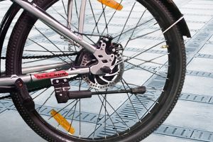 Rear Brake of Ladybird