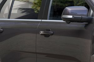 Door handles Image of Endeavour
