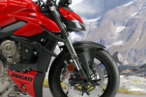 Front Mudguard & Suspension of Streetfighter V4
