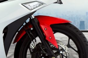 Front Mudguard & Suspension of Delta R3