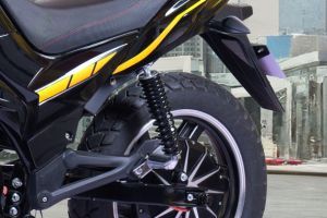Rear Suspension View of SSeagun