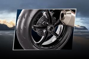 Rear Brake of 1390 Super Duke R