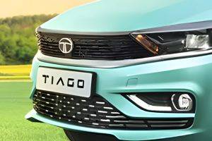 Bumper Image of Tiago