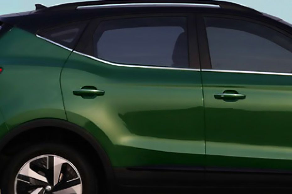 Door handles Image of ZS EV