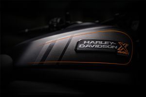 Fuel tank of X440