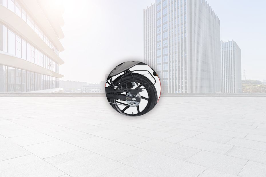 Rear Brake of Raider