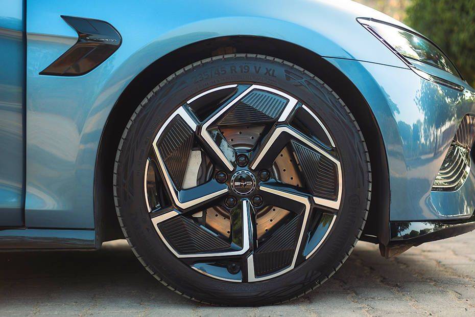 Wheel arch Image of Seal