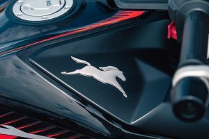 Brand Logo & Name of Apache RTR 310