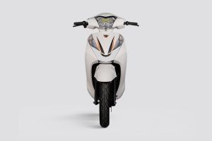 Front View of Sparrow