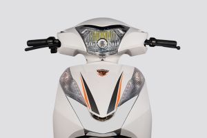 Head Light of Sparrow