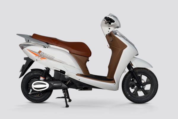 Right Side View of Sparrow