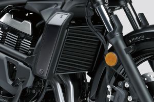 Cooling System of Vulcan S