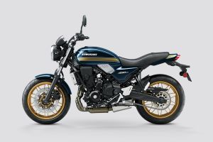Left Side View of Z650RS