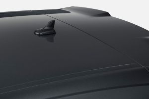 Antenna view Image of RS Q8