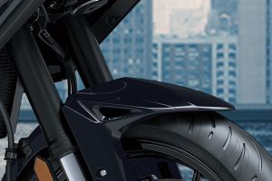 Front Mudguard & Suspension of Versys 1100
