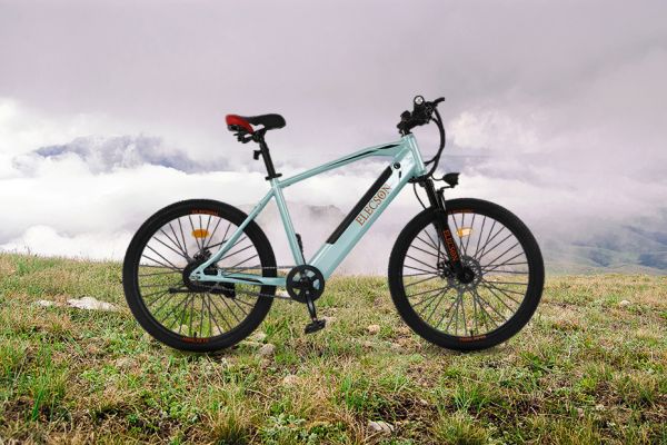 Right Side View of Alpha