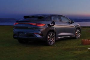 Rear 3/4 Right Image of Sealion 7