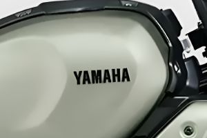 Brand Logo & Name of FZ-X Hybrid