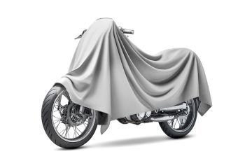 model image