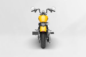 Rear View of Street Bob