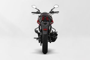 Rear View of Dominar 250