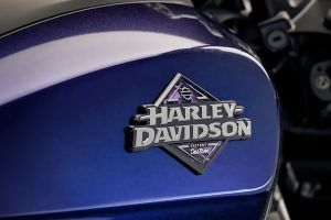 Brand Logo & Name of Sportster S