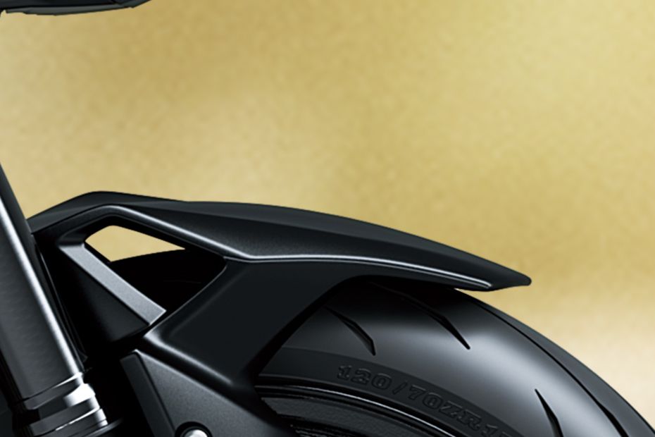 Front Mudguard & Suspension of Z900