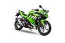 Kawasaki Ninja 300