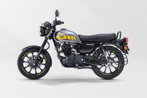 Left Side View of W175