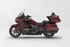 Left Side View of Gold Wing