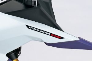 Model Name of V-Strom 800 DE