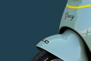 Front Mudguard & Suspension of Little Gracy