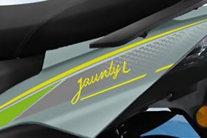 Model Name of Jaunty L