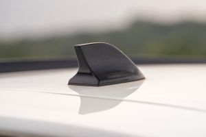 Antenna view Image of Punch