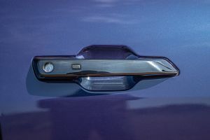 Door handles Image of Venue