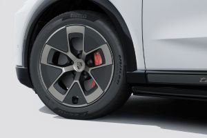 Wheel arch Image of Cayenne Electric