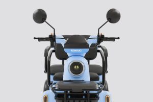 Rear Indicator View of FAM 1.0